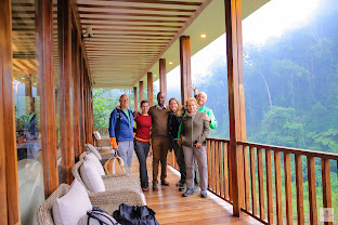 Four Gorillas Lodge