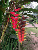 Airport Guest House