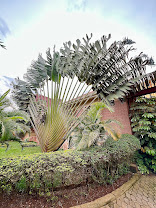 Airport Guest House