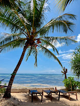 Queen of Sheba Beach Lodge Zanzibar