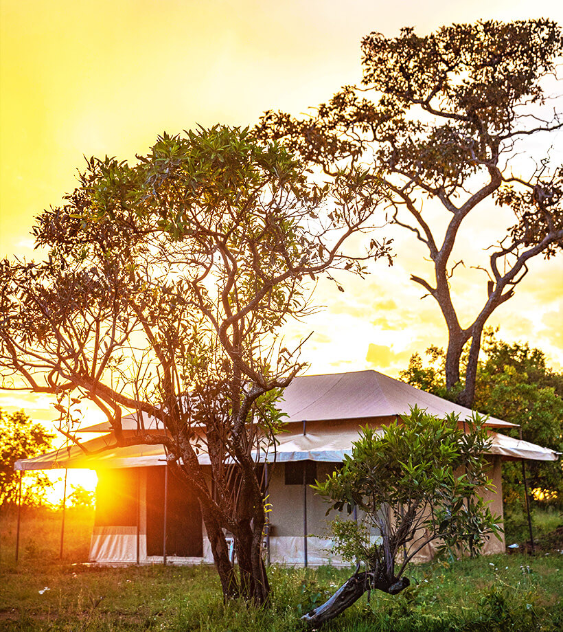 Sero Tented Camp - Ndutu (ncaa)