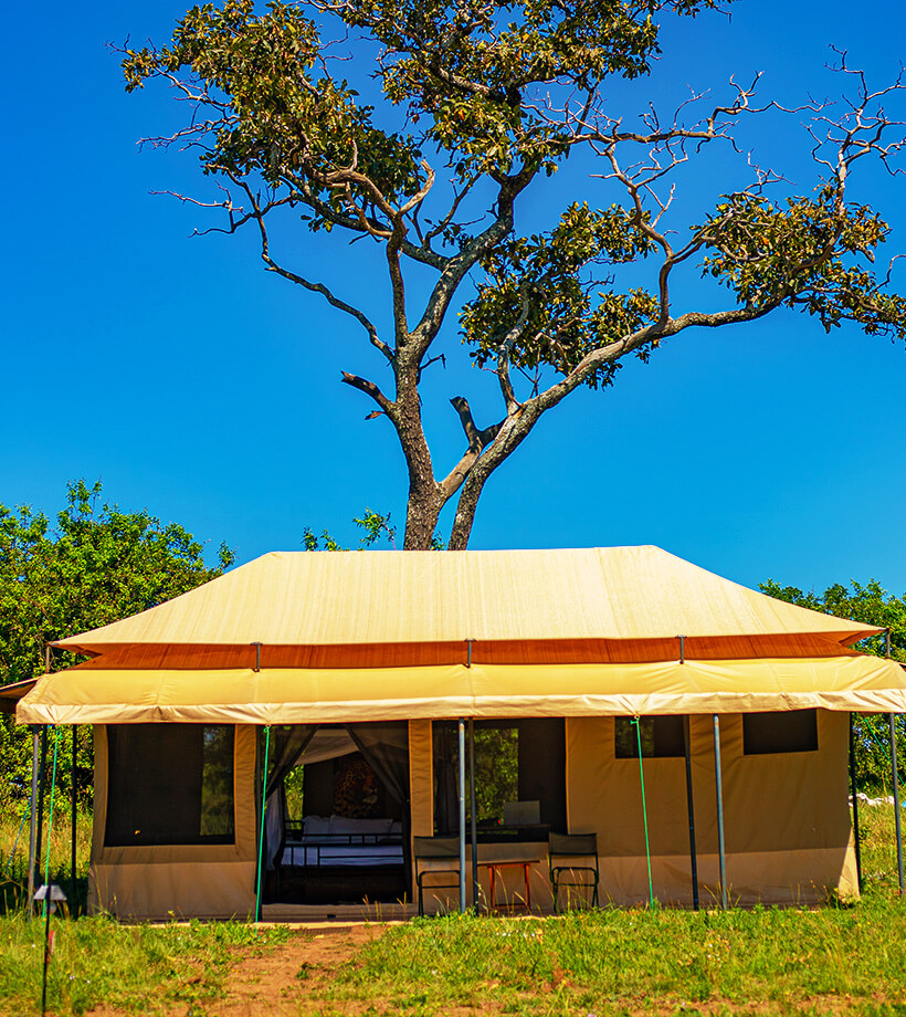 Sero Tented Camp - Kogatende (Serengeti)