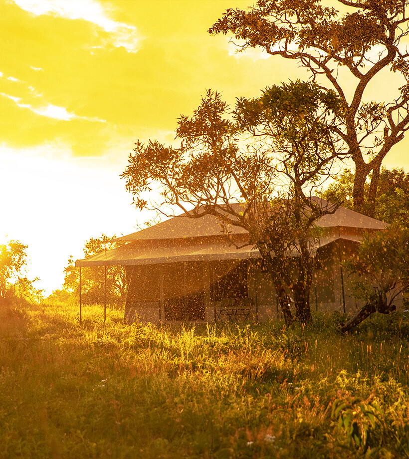 Sero Tented Camp - Kogatende (Serengeti)