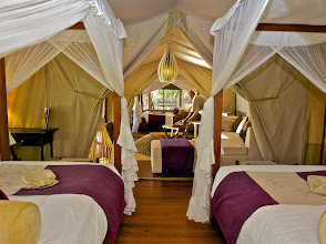 Mara Intrepids Tented Camp