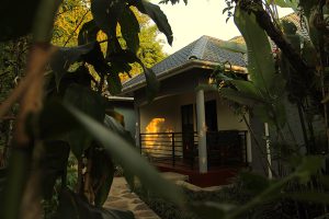 Kibale Forest Lodge