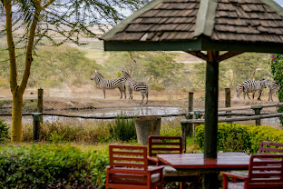 Lake Nakuru Lodge