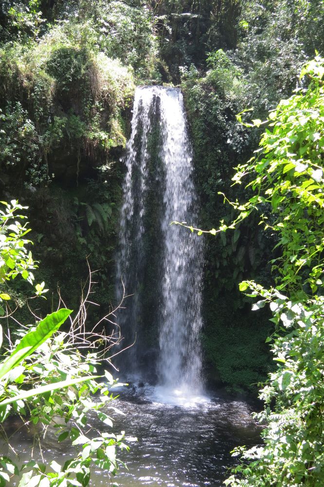 Kilimanjaro Trek