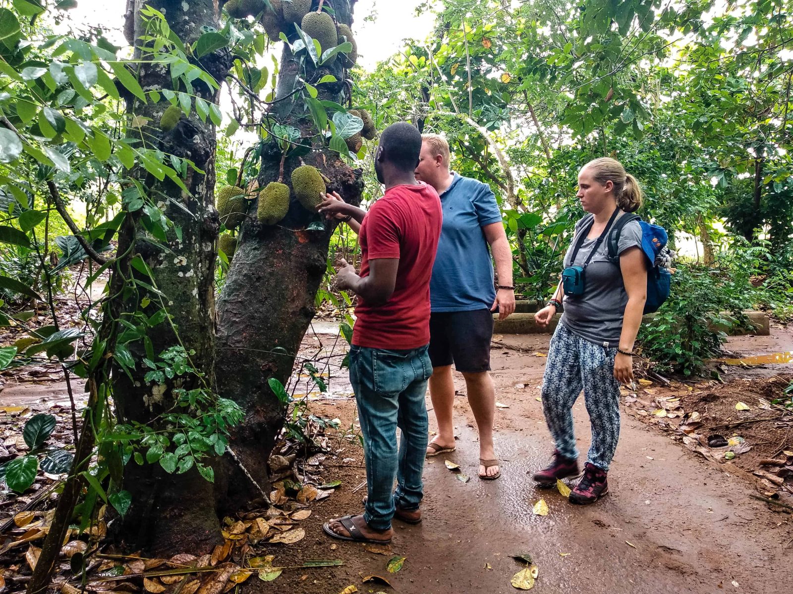Zanzibar Spice Tour