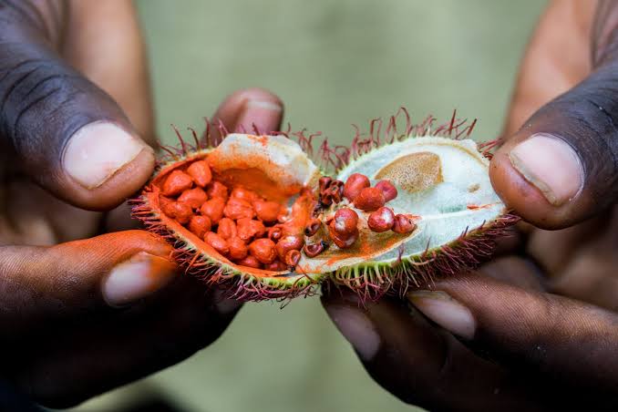 Zanzibar Spice Tour