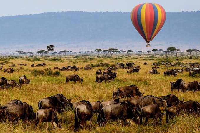 Serengeti Balloon at Dawn
