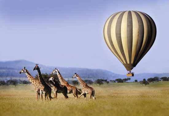 Serengeti Balloon at Dawn