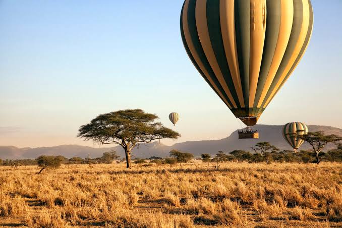 Serengeti Balloon at Dawn