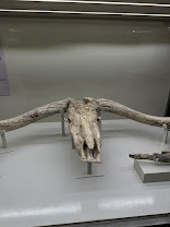 Olduvai Gorge Visit