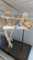 Olduvai Gorge Visit