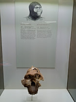 Olduvai Gorge Visit